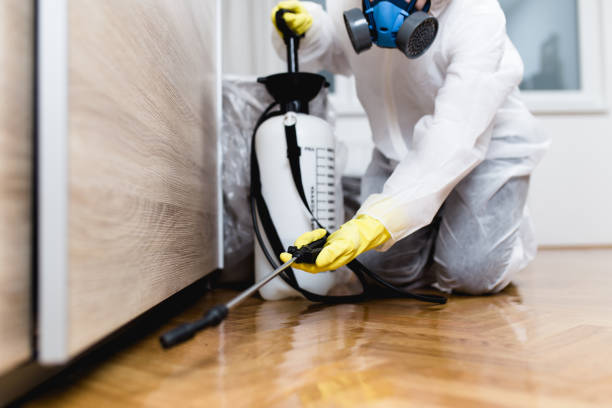 Best Residential Pest Control  in Northlake, TX
