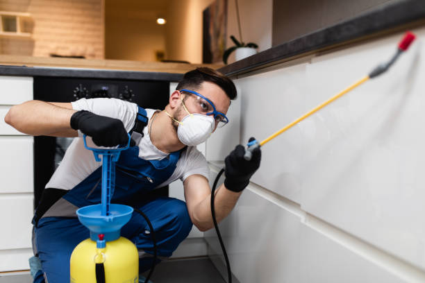 Best Commercial Pest Control Services  in Northlake, TX