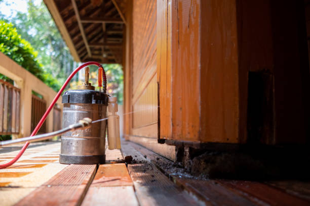 Best Pest Removal Services  in Northlake, TX