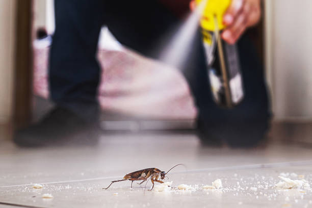 Pest Control for Restaurants in Northlake, TX