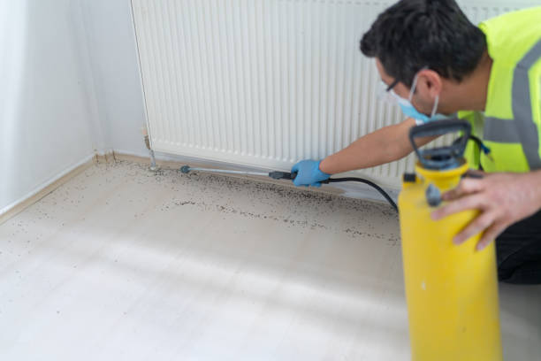 Best Mosquito Control Services  in Northlake, TX