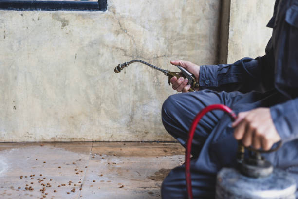 Best Exterminator Services  in Northlake, TX